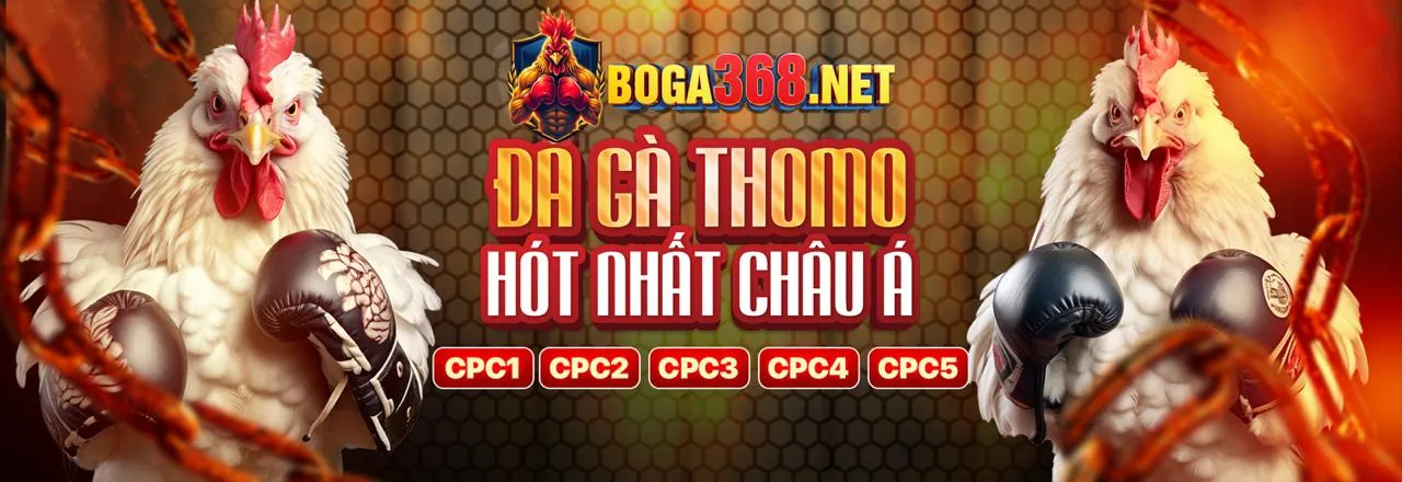 Nền Tảng Giải Trí me88 casino